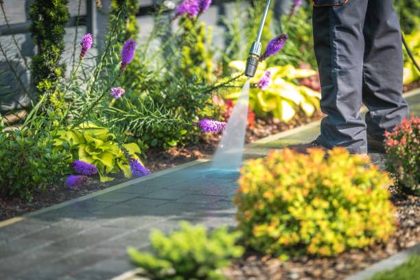 Best Sidewalk and Walkway Pressure Cleaning in Robins, IA