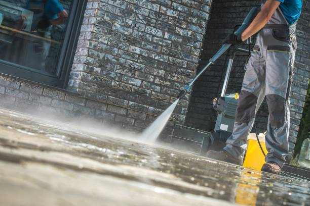 Best Fence Cleaning and Maintenance in Robins, IA